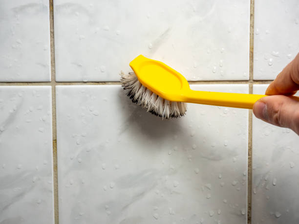 Best Fast Mold Removal  in Everett, PA