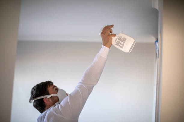 Best Water Damage Restoration  in Everett, PA