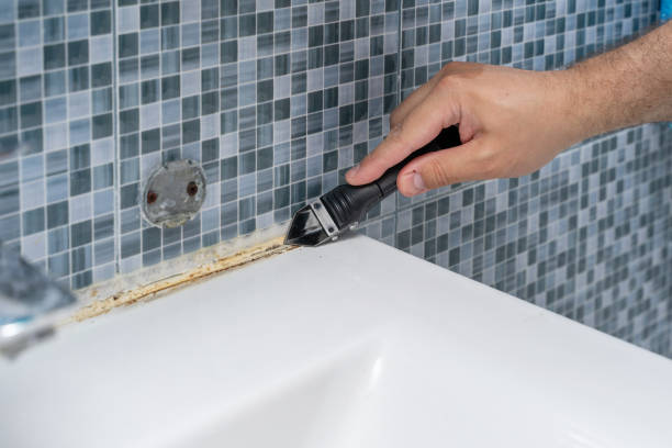 Best Certified Mold Removal  in Everett, PA